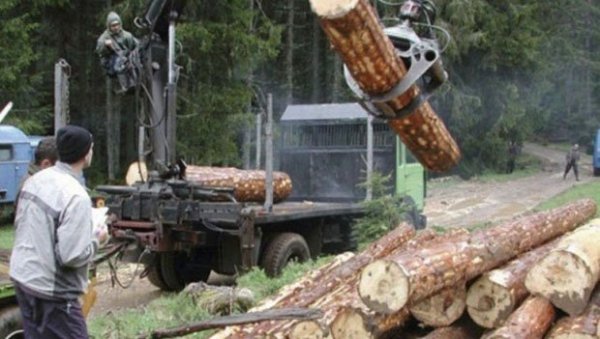 ДУГОВАЊА РАДНИЦИМА ИСПЛАТИЋЕ КРЕДИТИМА: Запослени у Шумама Републике Српске заостале зараде добиће до краја месеца ДУГОВАЊА РАДНИЦИМА ИСПЛАТИЋЕ КРЕДИТИМА: Запослени у Шумама Републике Српске заостале зараде добиће до краја месеца