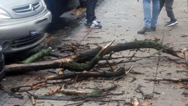 ЗЕЛЕНИЛУ СТИГЛО ВИШЕ ОД 300 ПРИЈАВА: Последице невремена, које је протутњало за викенд, још нису саниране ЗЕЛЕНИЛУ СТИГЛО ВИШЕ ОД 300 ПРИЈАВА: Последице невремена, које је протутњало за викенд, још нису саниране