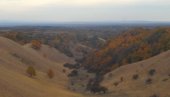ŠETNJA NA DAN PRIMIRJA: Planinari iz Bele Crkve vode do najvišeg vrha Zagajičkih brda ŠETNJA NA DAN PRIMIRJA: Planinari iz Bele Crkve vode do najvišeg vrha Zagajičkih brda