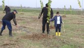 САДНИЦЕ КРАЈ „ЕКО-ДЕПА“: Велика радна акција запослени у ГУ Бијељине САДНИЦЕ КРАЈ „ЕКО-ДЕПА“: Велика радна акција запослени у ГУ Бијељине