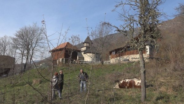 УЖАС КОД ПРИБОЈА: Мушкарац из пиштоља упуцао бика и краву (ФОТО) УЖАС КОД ПРИБОЈА: Мушкарац из пиштоља упуцао бика и краву (ФОТО)