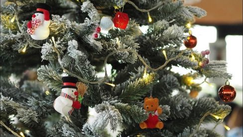 KADA DA OKITITE JELKU DA BISTE PRIVUKLI SREĆU U NOVOJ GODINI: Ovo su moćni datumi koji zrače posebnom čarolijom