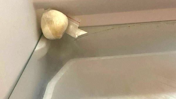 УХАПШЕНА ДВА ДИЛЕРА У ВРШЦУ: Заплењени дрога и новац (ФОТО) УХАПШЕНА ДВА ДИЛЕРА У ВРШЦУ: Заплењени дрога и новац (ФОТО)