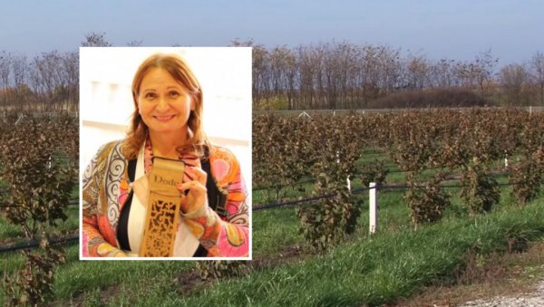 БАНАТСКИ ЛЕШНИЦИ ЗА ЦЕО СВЕТ: Породица Зоре Ђурић подигла засад на површини од 16 хектара (ФОТО) БАНАТСКИ ЛЕШНИЦИ ЗА ЦЕО СВЕТ: Породица Зоре Ђурић подигла засад на површини од 16 хектара (ФОТО)