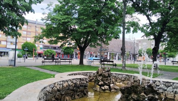 БЕСПЛАТНЕ САДНИЦЕ БЕЛОГ ЈАСЕНА: Општина Ћуприја у акцији „Посади свој хлад“ БЕСПЛАТНЕ САДНИЦЕ БЕЛОГ ЈАСЕНА: Општина Ћуприја у акцији „Посади свој хлад“