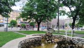 БЕСПЛАТНЕ САДНИЦЕ БЕЛОГ ЈАСЕНА: Општина Ћуприја у акцији „Посади свој хлад“ БЕСПЛАТНЕ САДНИЦЕ БЕЛОГ ЈАСЕНА: Општина Ћуприја у акцији „Посади свој хлад“