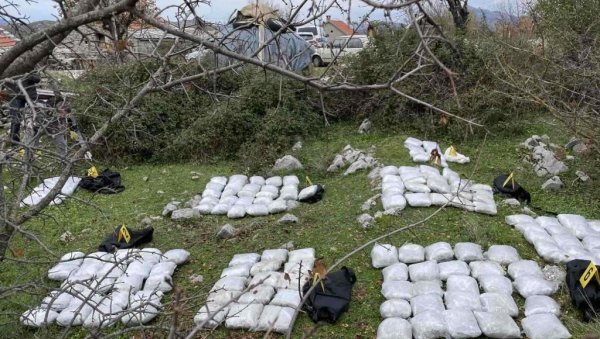 АКЦИЈА У ТРЕБИЊУ: Заплењено 200 килограма марихуане АКЦИЈА У ТРЕБИЊУ: Заплењено 200 килограма марихуане