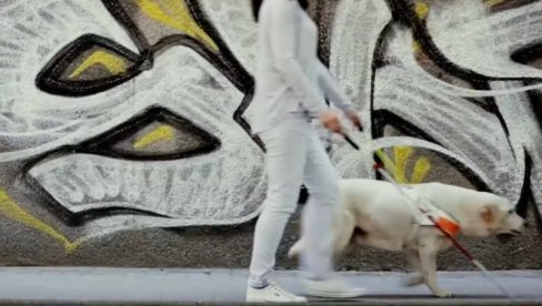 NA GLASANJU I PAS VODIČ: Biračko mesto ne može biti u verskom objektu, niti u vlasništvu stranke NA GLASANJU I PAS VODIČ: Biračko mesto ne može biti u verskom objektu, niti u vlasništvu stranke