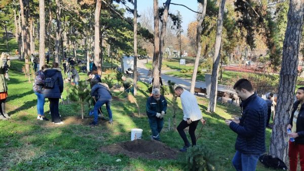 ПОАСЕЂЕНО 110 СТАБАЛА : Београд богатији за нова стабла на Калемегдану и Ушћу ПОАСЕЂЕНО 110 СТАБАЛА : Београд богатији за нова стабла на Калемегдану и Ушћу