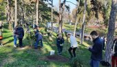 POASEĐENO 110 STABALA : Beograd bogatiji za nova stabla na Kalemegdanu i Ušću POASEĐENO 110 STABALA : Beograd bogatiji za nova stabla na Kalemegdanu i Ušću