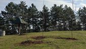 ПОШУМЉАВАЊЕ ХИСАРА И СПОМЕН ПАРКА: Акција локалне самоуправе и надлежног министарства ПОШУМЉАВАЊЕ ХИСАРА И СПОМЕН ПАРКА: Акција локалне самоуправе и надлежног министарства