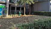 УРЕЂУЈЕ СЕ СКВЕР НА ВРАЧАРУ: Обнова простора између Крунске и Београдске улице УРЕЂУЈЕ СЕ СКВЕР НА ВРАЧАРУ: Обнова простора између Крунске и Београдске улице