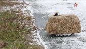 RUSKI KAMEN-ŠPIJUN“: Novi lukavi robot za praćenje neprijatelja (VIDEO) RUSKI KAMEN-ŠPIJUN“: Novi lukavi robot za praćenje neprijatelja (VIDEO)