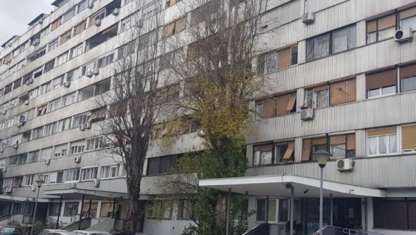 СЕЧА СУВИХ СТАБЛА: Радови Зеленила на Новом Београду СЕЧА СУВИХ СТАБЛА: Радови Зеленила на Новом Београду