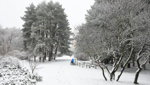 ZA VIKEND SNEG I U NIŽIM PREDELIMA: Detaljna vremenska prognoza za drugu polovinu novembra