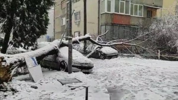ПАЛО ВАМ ЈЕ ДРВО НА АУТО И ОШТЕТИЛО ГА: Ево је ко је крив ако вам кола страдају у мећави и како да наплатитте штету ПАЛО ВАМ ЈЕ ДРВО НА АУТО И ОШТЕТИЛО ГА: Ево је ко је крив ако вам кола страдају у мећави и како да наплатитте штету