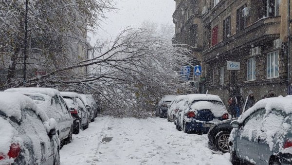 ПАЛО ДРВО У КОСОВСКОЈ УЛИЦИ: Колапс у центру Београда (ФОТО/ВИДЕО) ПАЛО ДРВО У КОСОВСКОЈ УЛИЦИ: Колапс у центру Београда (ФОТО/ВИДЕО)