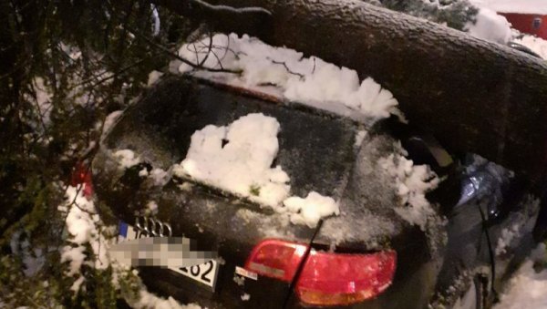 ПАЛО ДРВО НА ВОЗИЛО НА ВРАЧАРУ: У аутомобилу били возач и сувозач (ФОТО) ПАЛО ДРВО НА ВОЗИЛО НА ВРАЧАРУ: У аутомобилу били возач и сувозач (ФОТО)