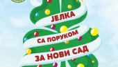 IDEJE NA RECIKLIRANIM UKRASIMA: Jelka sa porukom za Novi Sad
