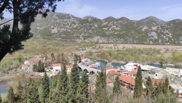 УБИЈЕН КОРМОРАН: У националном парку Скадарског језера ловци одстрелили птицу наочиглед људи УБИЈЕН КОРМОРАН: У националном парку Скадарског језера ловци одстрелили птицу наочиглед људи