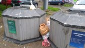 РЕДОВНО ТОКОМ ПРАЗНИКА: Служба новосадског ЈКП „Чистоћа“ радиће по свакодневном режиму РЕДОВНО ТОКОМ ПРАЗНИКА: Служба новосадског ЈКП „Чистоћа“ радиће по свакодневном режиму