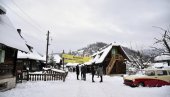 POČINJE FILMSKA MEĆAVA KOD KUSTE: Garoneu Drvo života