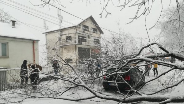 СНЕГ ПОЛОМИО 2.745 КРОШЊИ И СТАБАЛА: ЈКП Зеленило утврдило штету после невремена претходног месеца СНЕГ ПОЛОМИО 2.745 КРОШЊИ И СТАБАЛА: ЈКП Зеленило утврдило штету после невремена претходног месеца