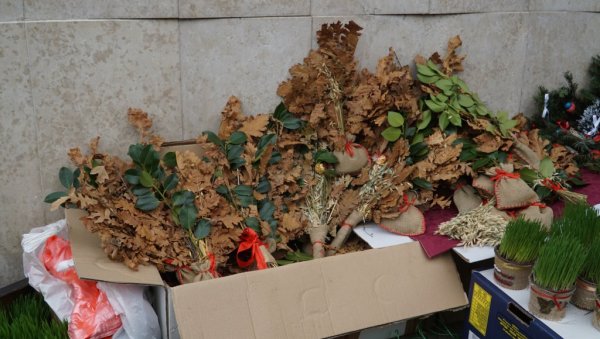 БАДЊАЦИ НА УЛИЦАМА БЕОГРАДА: Почела улична продаја симбола празника (FOTO) БАДЊАЦИ НА УЛИЦАМА БЕОГРАДА: Почела улична продаја симбола празника (FOTO)