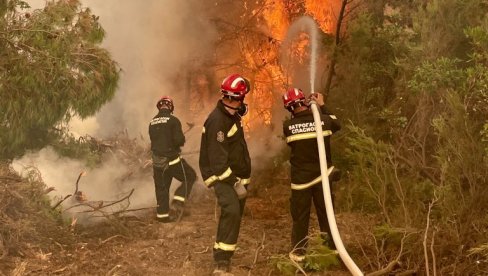 PO DOGOVORU VUČIĆA I MICOTAKISA SRBIJA ŠALJE POMOĆ: Oglasio se Gašić - Uvek stojimo uz svoje prijatelje PO DOGOVORU VUČIĆA I MICOTAKISA SRBIJA ŠALJE POMOĆ: Oglasio se Gašić - Uvek stojimo uz svoje prijatelje