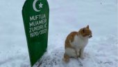 ZUKORLIĆEV MAČAK PONOVO RASTUŽIO REGION: I dva meseca nakon muftijine smrti leži na njegovom grobu