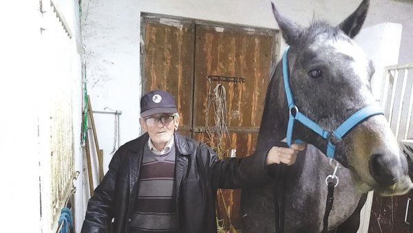 КОЊИ МИ ЖИВОТ МЕЊАЈУ НАБОЉЕ: Никола Вучковић годинама посвећен бризи о најплеменитијим животињама КОЊИ МИ ЖИВОТ МЕЊАЈУ НАБОЉЕ: Никола Вучковић годинама посвећен бризи о најплеменитијим животињама