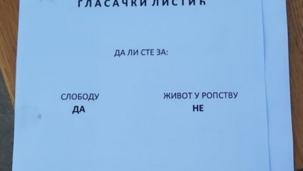 ГЛАСАЧКИ ЛИСТИЋ ЗА СЛОБОДУ:  Млади Косовске Митровице на пеформансу јасно рекли шта желе