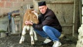 НЕЋЕ МЕ ОТЕРАТИ С КОСОВА: Милан Ковачевић истрајан у намери да остане на свом имању НЕЋЕ МЕ ОТЕРАТИ С КОСОВА: Милан Ковачевић истрајан у намери да остане на свом имању