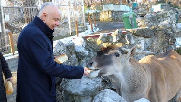 ЕДУКАТИВНИ ЦЕНТАР У ЗОО ВРТУ: Нова улагања у зоолошки врт ЕДУКАТИВНИ ЦЕНТАР У ЗОО ВРТУ: Нова улагања у зоолошки врт