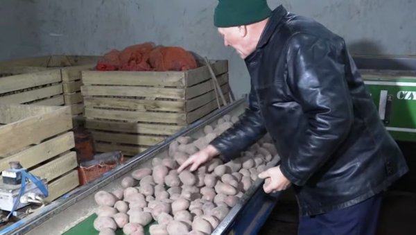 ПОВРТАР ИЗ ЛАЛИЋА НАДМАШИО ХОЛАНЂАНЕ: Павел Валент по приносу прешишао водеће европске произвођаче кромпира ПОВРТАР ИЗ ЛАЛИЋА НАДМАШИО ХОЛАНЂАНЕ: Павел Валент по приносу прешишао водеће европске произвођаче кромпира