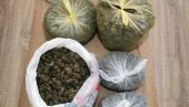 НАЂЕНО ВИШЕ ОД ПЕТ КИЛОГРАМА МАРИХУАНЕ: Ухапшене две особе у Крушевцу НАЂЕНО ВИШЕ ОД ПЕТ КИЛОГРАМА МАРИХУАНЕ: Ухапшене две особе у Крушевцу