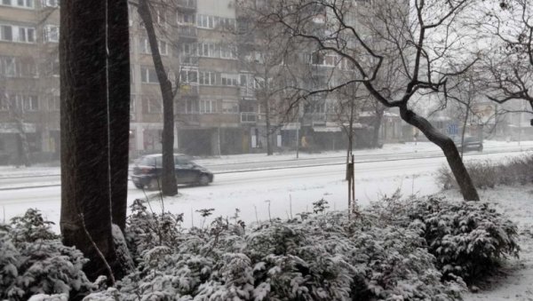 ЗАБЕЛЕО СЕ И НОВИ САД: Снег пада од јутрос (ФОТО) ЗАБЕЛЕО СЕ И НОВИ САД: Снег пада од јутрос (ФОТО)