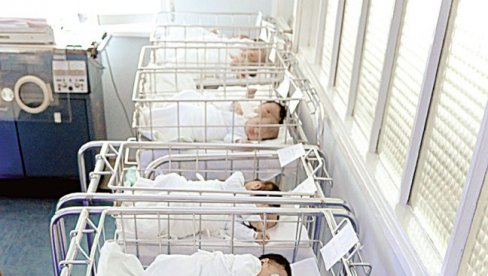 DVA BRATA I SESTRA: U porodilištu u Novom Sadu za dan rođena 21 beba, među njima i trojke