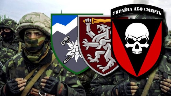 ТРИ ЕЛИТНЕ УКРАЈИНСКЕ ЈЕДИНИЦЕ КРЕЋУ КА ДОНБАСУ: Бригаде за извођење офанзивних операција спремне, Кијев планира хаос ТРИ ЕЛИТНЕ УКРАЈИНСКЕ ЈЕДИНИЦЕ КРЕЋУ КА ДОНБАСУ: Бригаде за извођење офанзивних операција спремне, Кијев планира хаос