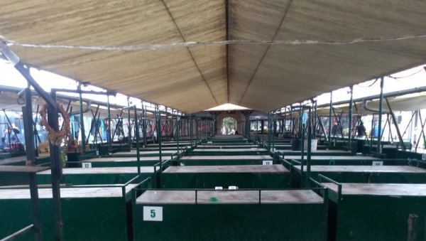 ПОЧЕЛИ РАДОВИ: Од данас не раде тезге на пијаци Круг због обнове крова ПОЧЕЛИ РАДОВИ: Од данас не раде тезге на пијаци Круг због обнове крова