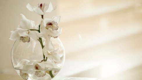 ФЕНГ ШУИ СТРУЧЊАЦИ УПОЗОРАВАЈУ: Ово место за воду у стану може донети несрећу