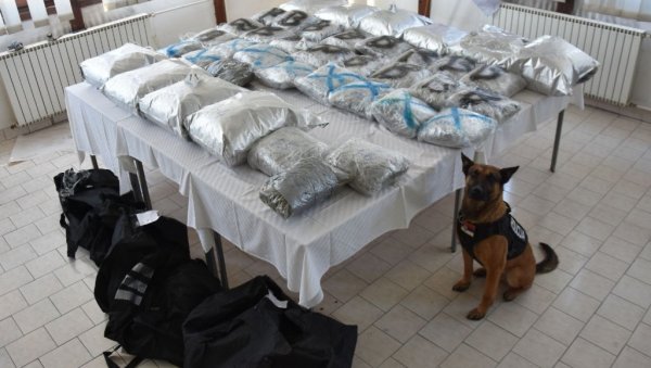 АКЦИЈА ПОЛИЦИЈЕ КОД НОВОГ ПАЗАРА: Црногорци и Тутинци пали са 63 килограма марихуане (ФОТО) АКЦИЈА ПОЛИЦИЈЕ КОД НОВОГ ПАЗАРА: Црногорци и Тутинци пали са 63 килограма марихуане (ФОТО)