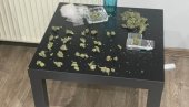ДЕТАЉИ АКЦИЈЕ У МИРИЈЕВУ: Полиција ухапсила два мушкарца, заплењена марихуана ДЕТАЉИ АКЦИЈЕ У МИРИЈЕВУ: Полиција ухапсила два мушкарца, заплењена марихуана