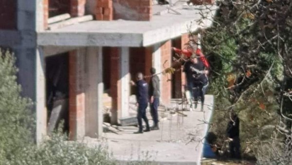 УХВАЋЕНО ОДБЕГЛО МЛАДУНЧЕ ЛАВА У ЦРНОЈ ГОРИ: Животиња транспортована у Будву УХВАЋЕНО ОДБЕГЛО МЛАДУНЧЕ ЛАВА У ЦРНОЈ ГОРИ: Животиња транспортована у Будву