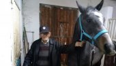 ЗАУВЕК ОТИШАО ЧИКА НИЏА: Пожаревачко коњичко друштво Кнез Михаило жали за Николом Вучковићем
