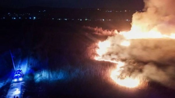ВАТРЕНА СТИХИЈА ГУТАЛА ЈЕ СВЕ ПРЕД СОБОМ: Драматичне сцене у Футогу, Вучевић са ватрогасцима (ФОТО+ВИДЕО) ВАТРЕНА СТИХИЈА ГУТАЛА ЈЕ СВЕ ПРЕД СОБОМ: Драматичне сцене у Футогу, Вучевић са ватрогасцима (ФОТО+ВИДЕО)