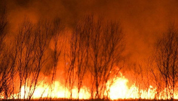 УГАШЕН ПОЖАР У ФУТОГУ: Са ватреном стихијом се борило 17 ватрогасаца, екипе целу ноћ биле на терену (ВИДЕО) УГАШЕН ПОЖАР У ФУТОГУ: Са ватреном стихијом се борило 17 ватрогасаца, екипе целу ноћ биле на терену (ВИДЕО)