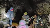 AKCIJA SAPASAVANJA U PIROTU: Vatrogasci pronašli izgubljene planinare (FOTO) AKCIJA SAPASAVANJA U PIROTU: Vatrogasci pronašli izgubljene planinare (FOTO)