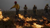 ТЕШКА СУША НАПРАВИЛА ХАОС: У пожару у Аргенитини изгореле стотине хектара земље (ФОТО) ТЕШКА СУША НАПРАВИЛА ХАОС: У пожару у Аргенитини изгореле стотине хектара земље (ФОТО)