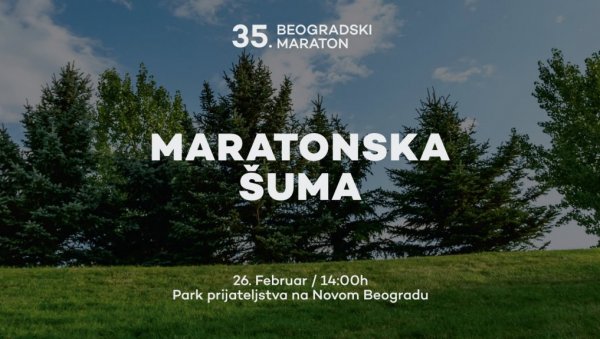 САДЊА МАРАТОНСКЕ ШУМЕ: Обележава се 35 година постојања Београдског маратона САДЊА МАРАТОНСКЕ ШУМЕ: Обележава се 35 година постојања Београдског маратона